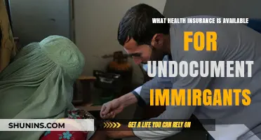 Health Insurance Options for Undocumented Immigrants: What’s Available?