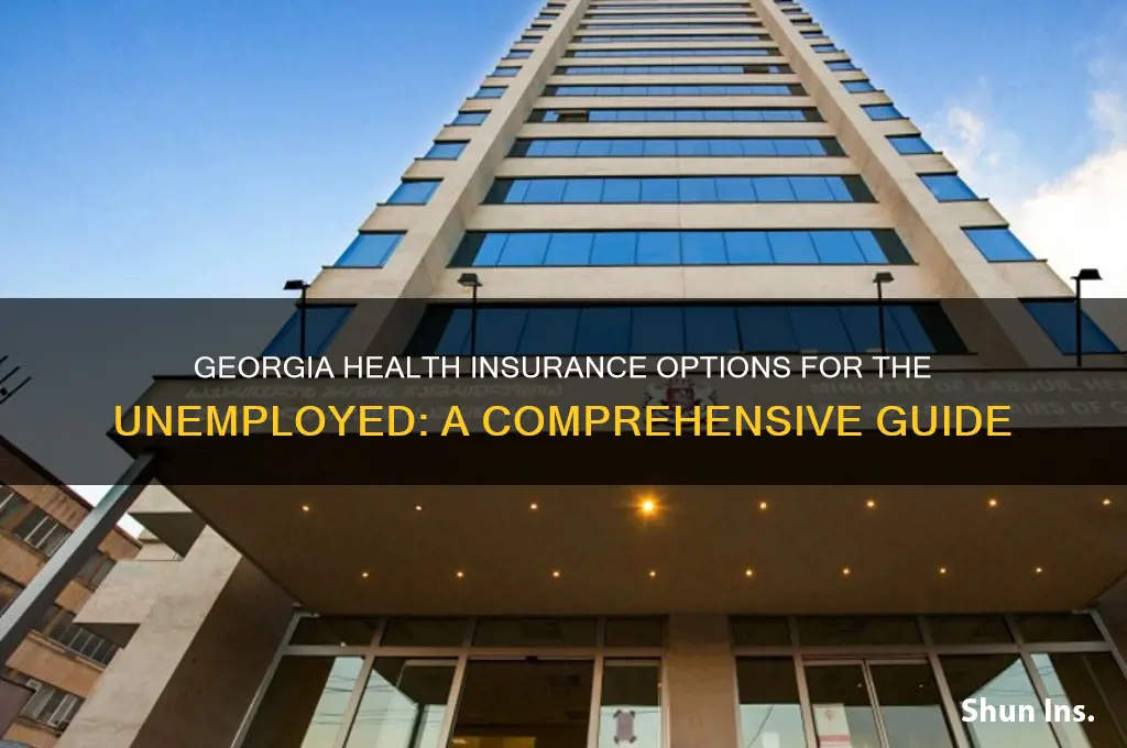 what health insurance is available for unemployed in ga