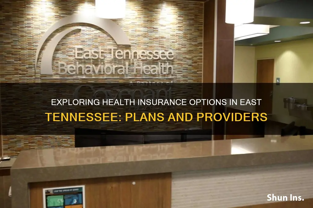 what health insurance is available in east tennessee