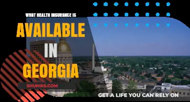 Georgia Health Insurance Guide: Plans, Providers, and Coverage Options