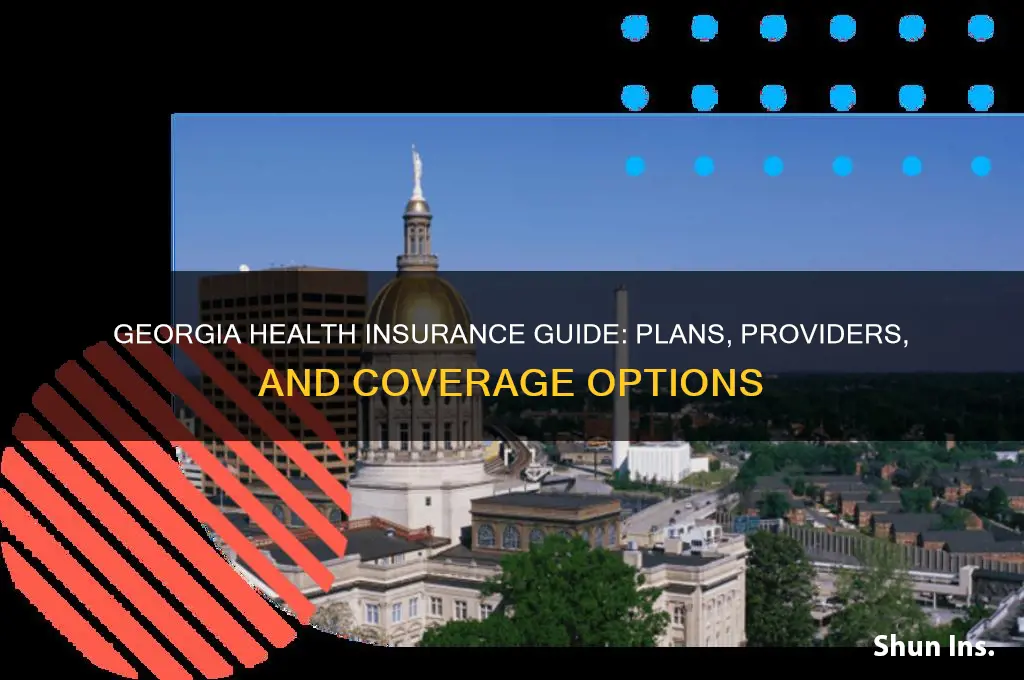 what health insurance is available in georgia