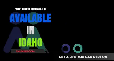 Idaho Health Insurance Options: Plans, Providers, and Coverage Guide