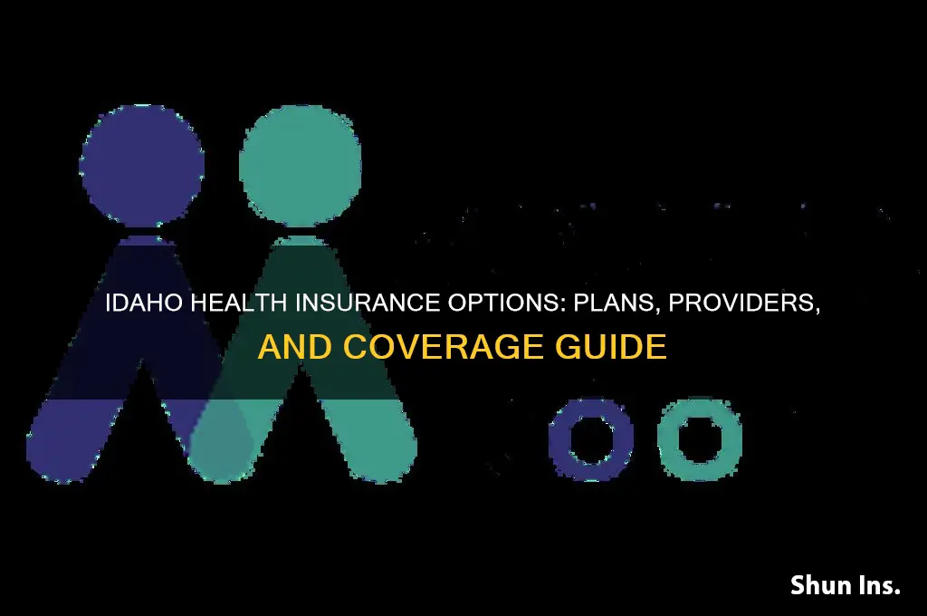 what health insurance is available in idaho