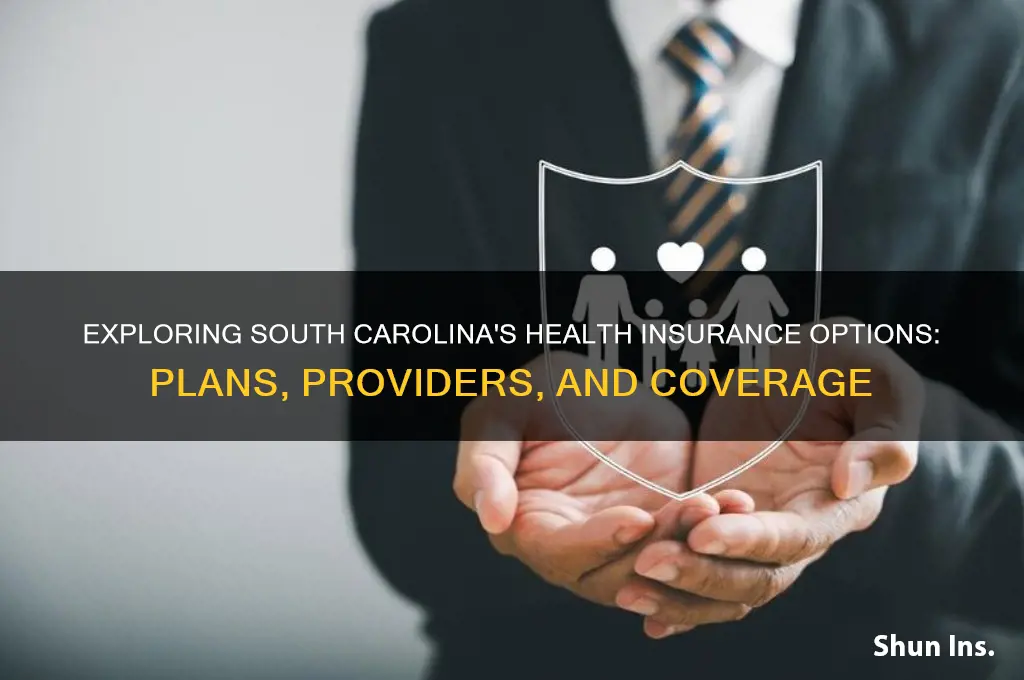 what health insurance is available in south carolina