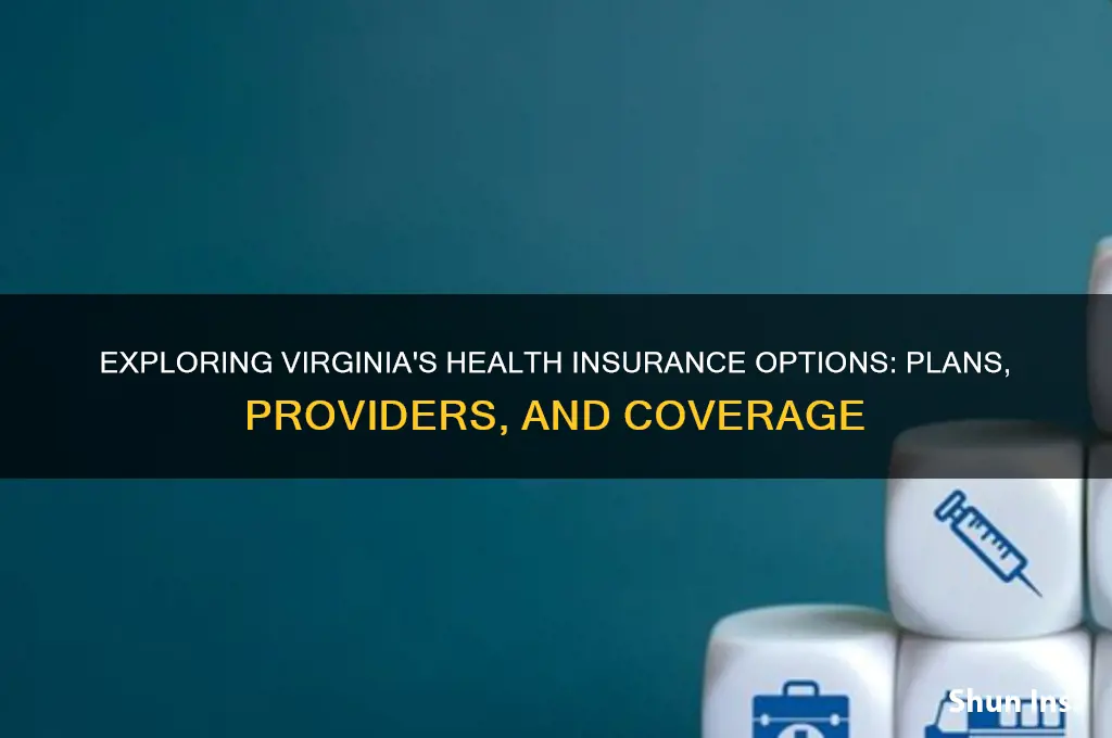 what health insurance is available in virginia