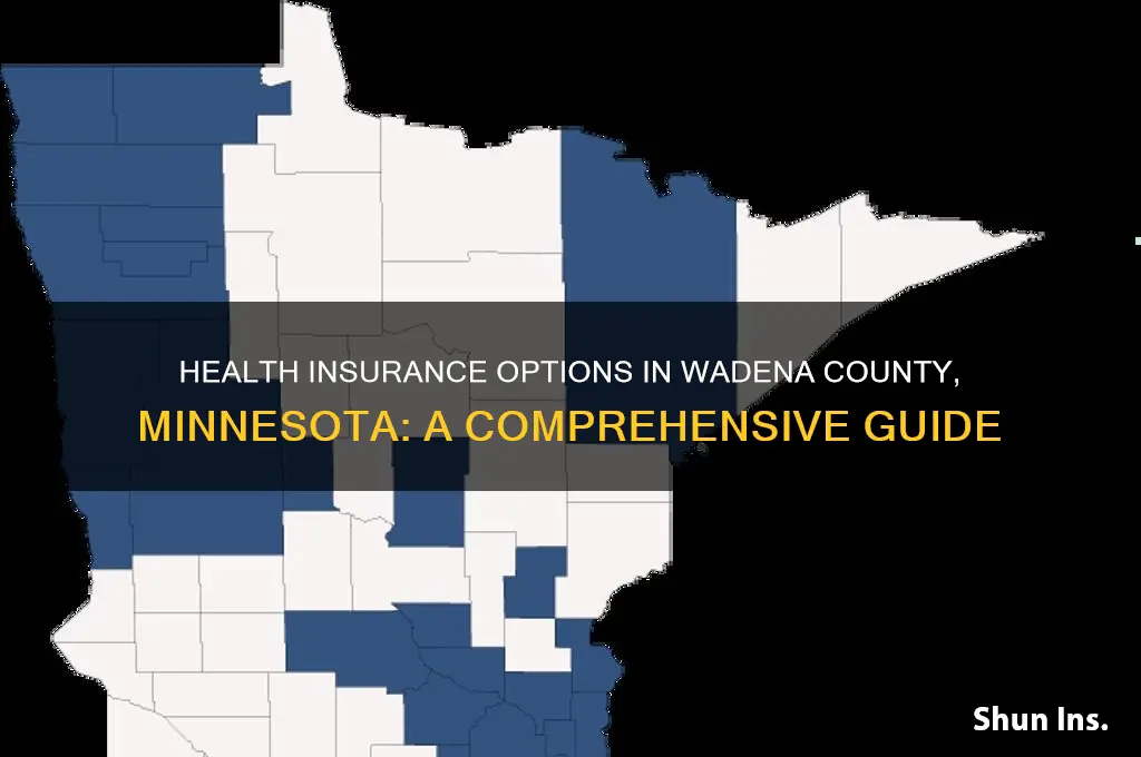 what health insurance is available in wadena county minnesota
