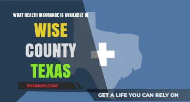 Wise County Texas Health Insurance Options: Coverage and Providers Guide