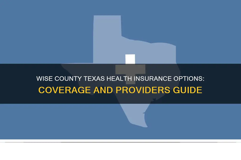 what health insurance is available in wise county texas