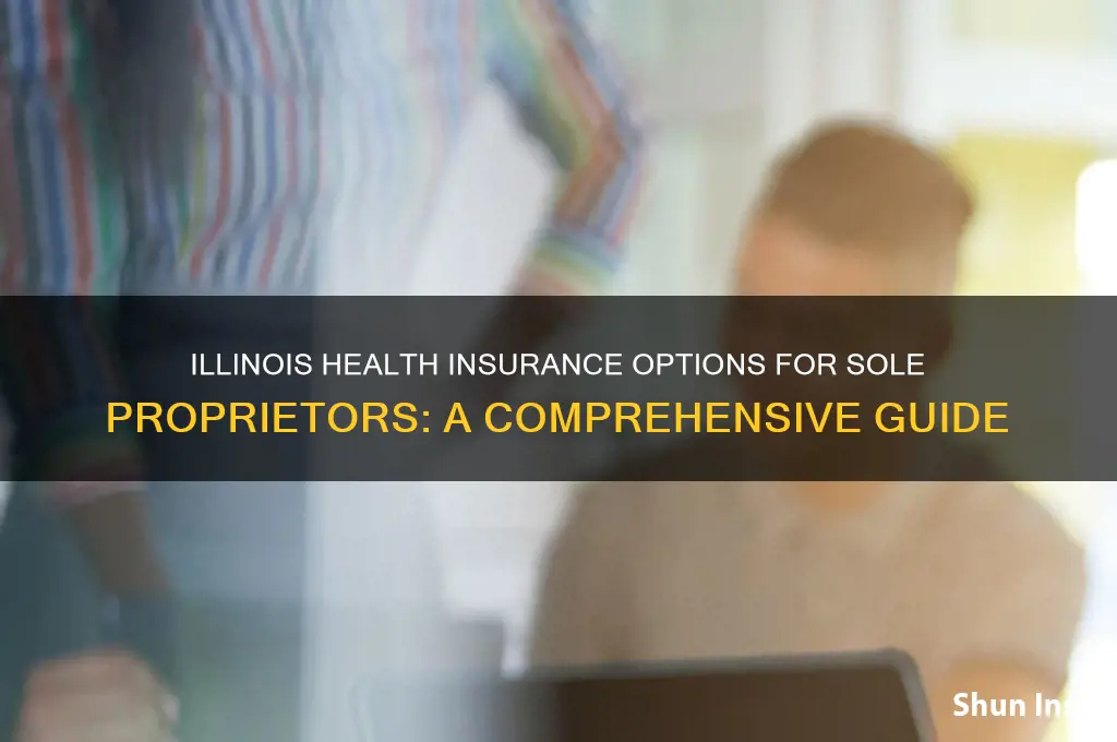 what health insurance is available to sole proprietorships in illinois