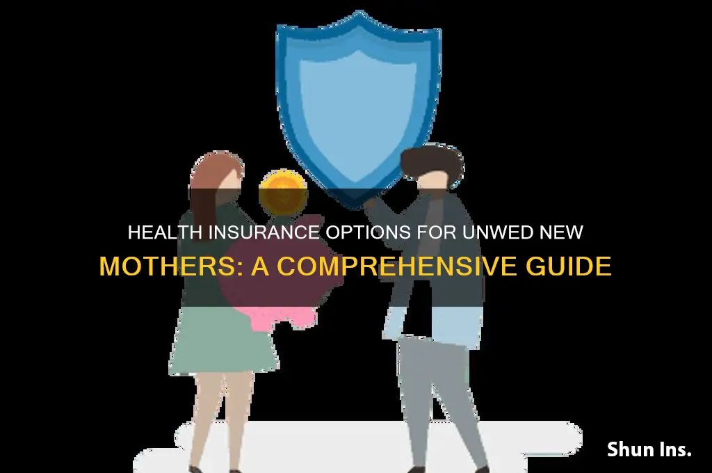 what health insurance is avialable for an unwed new mother