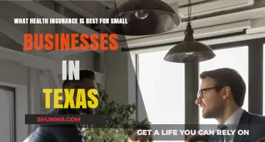 Top Health Insurance Options for Texas Small Businesses: A Comprehensive Guide