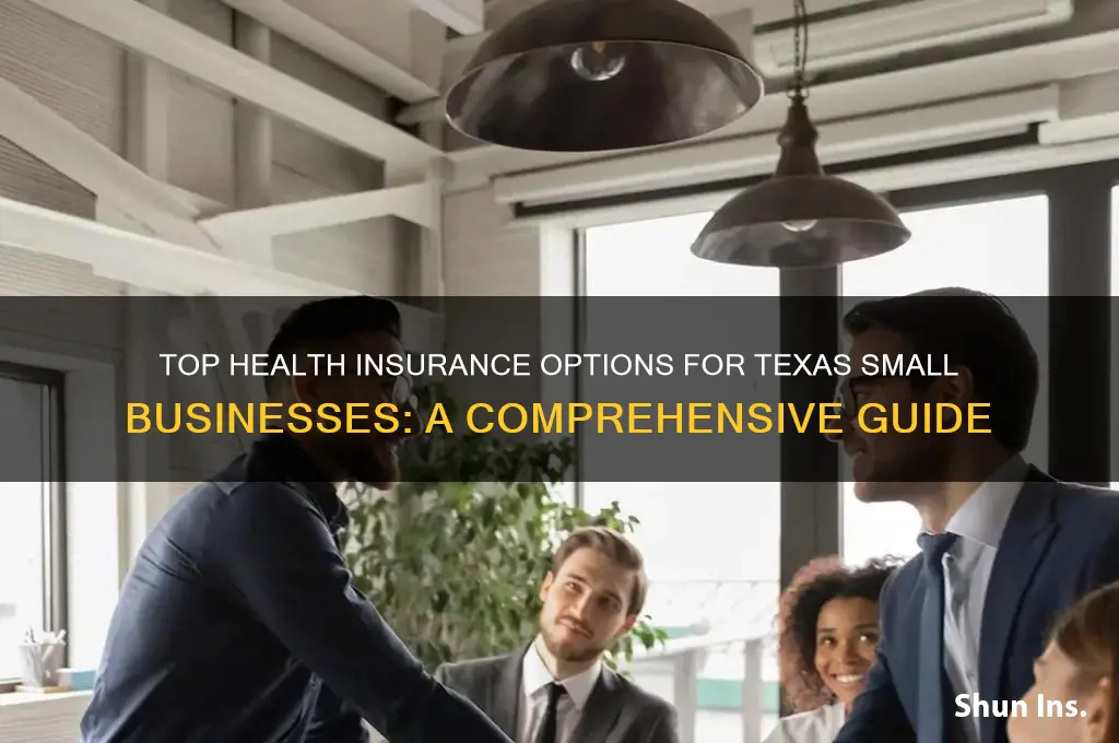 what health insurance is best for small businesses in texas