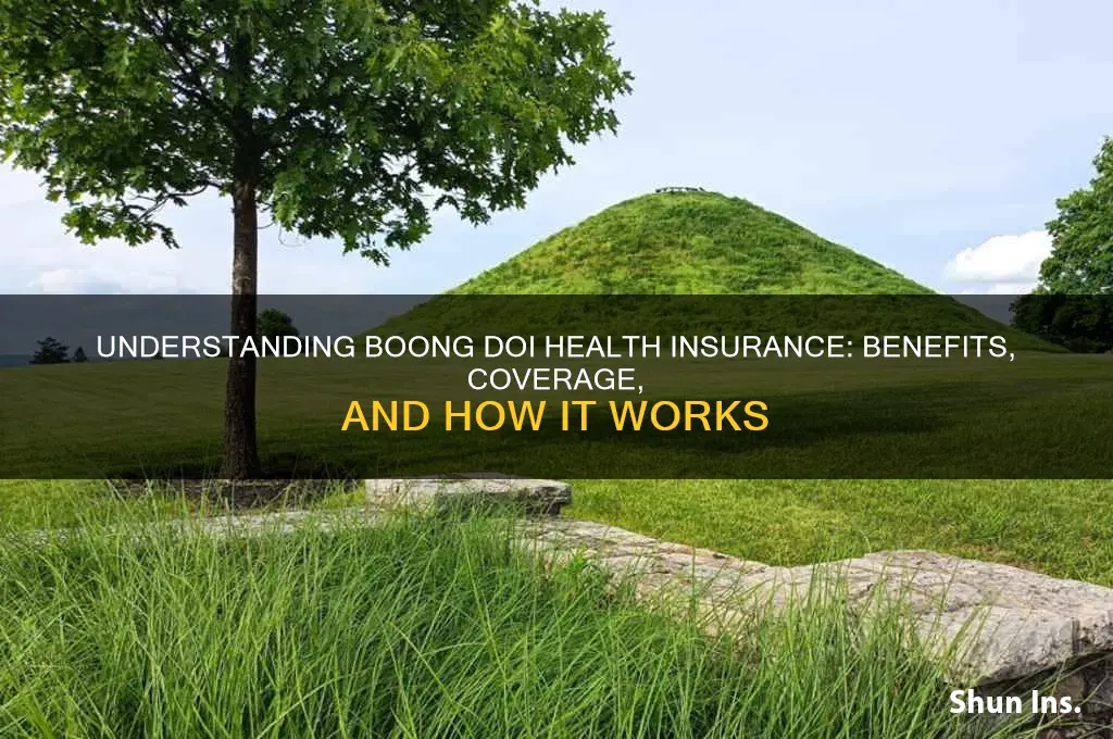 what health insurance is boong doi