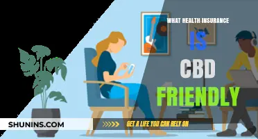 CBD and Health Insurance: Navigating Coverage for Wellness Treatments