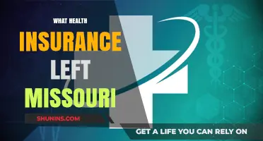 Missouri's Health Insurance Gap: What Coverage Options Remain?
