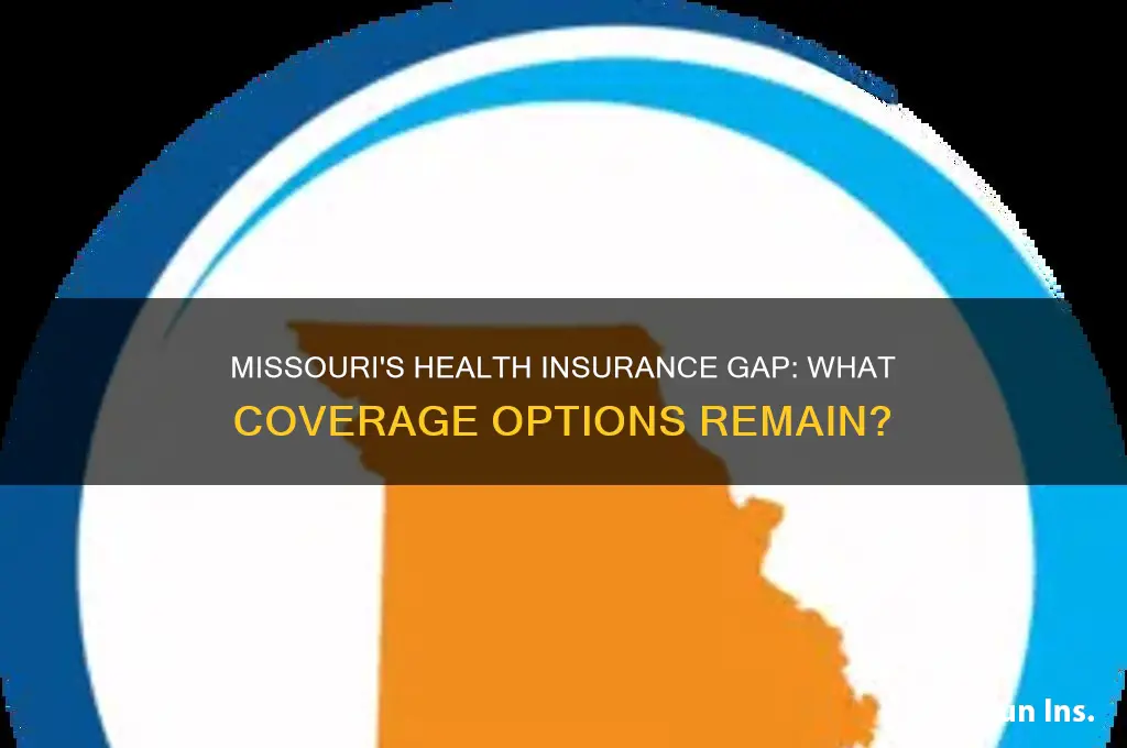what health insurance left missouri
