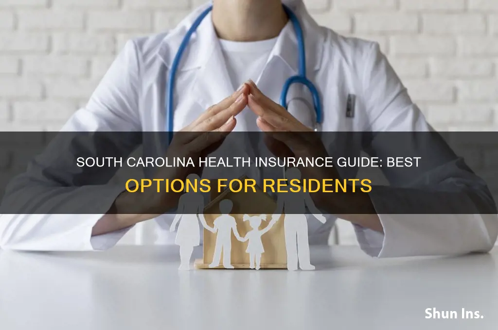 what health insurance options are for scouth carolina residents