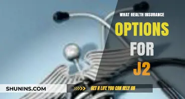 Exploring Health Insurance Options for J2 Visa Holders in the US