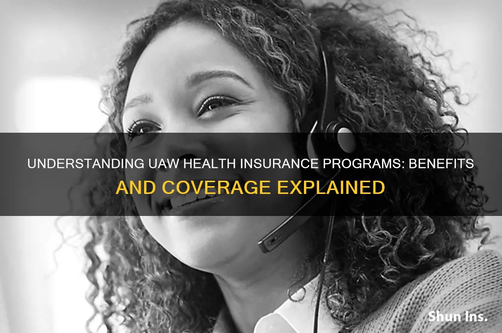 what health insurance program are through the uaw