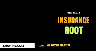 Understanding Health Insurance Roots: A Comprehensive Guide to Coverage Basics