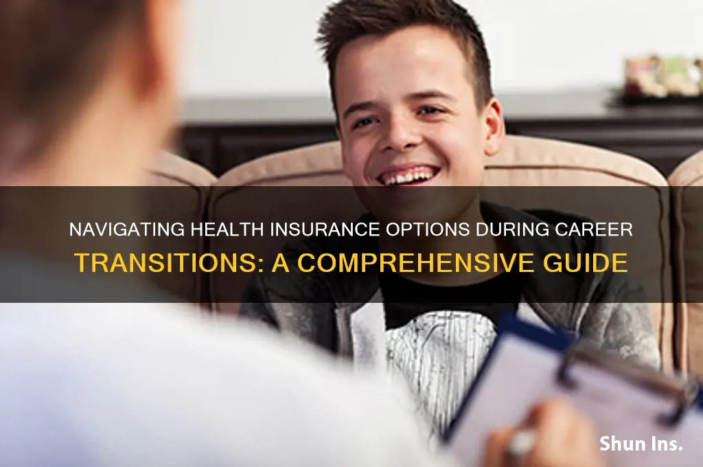 what health insurance to aply for between jobs