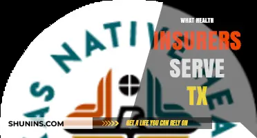 Top Health Insurance Providers Serving Texas Residents: A Comprehensive Guide