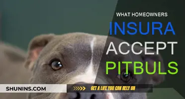 Home Insurance: Pitbull-Friendly Policies for Owners