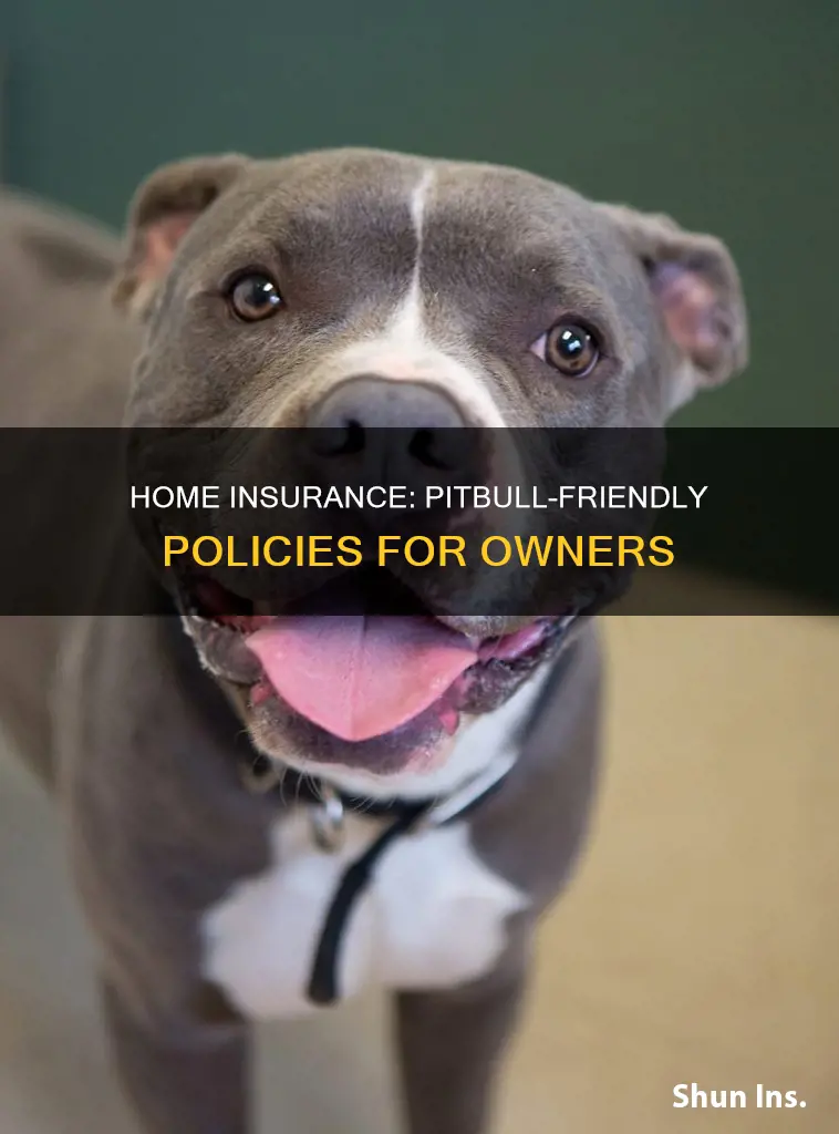 what homeowners insurance accepts pitbuls