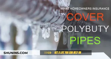 Home Insurance: Polybutylene Pipes Covered?