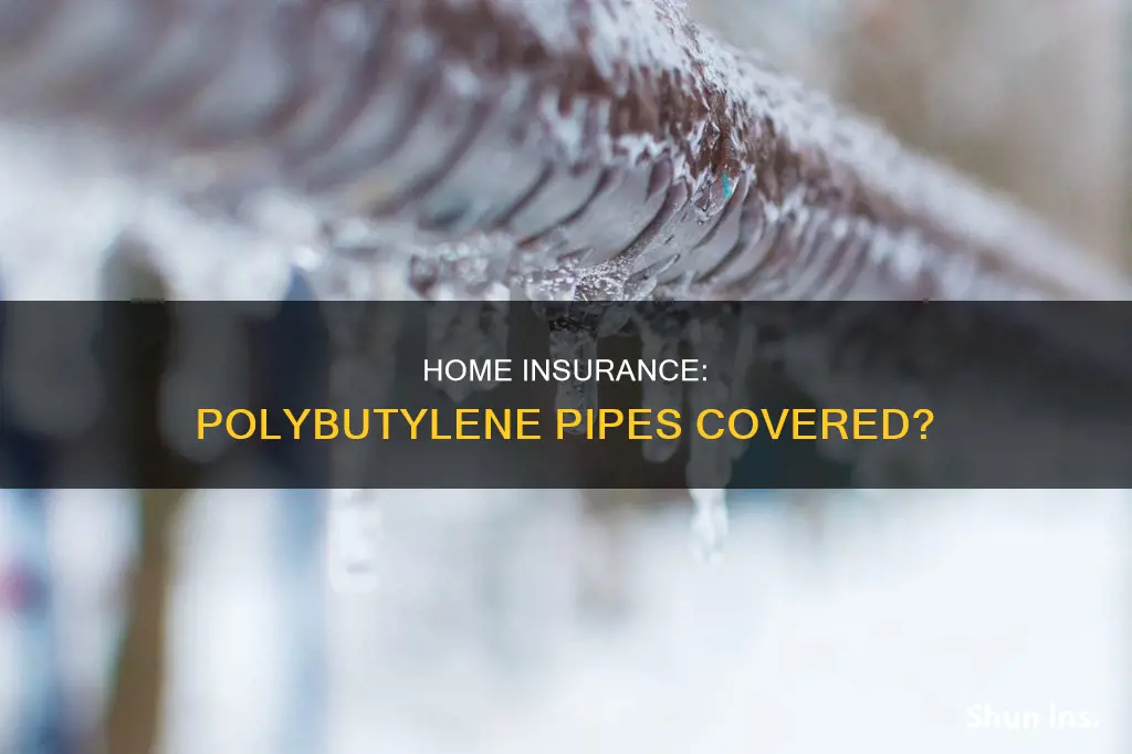 what homeowners insurance cover polybutylene pipes
