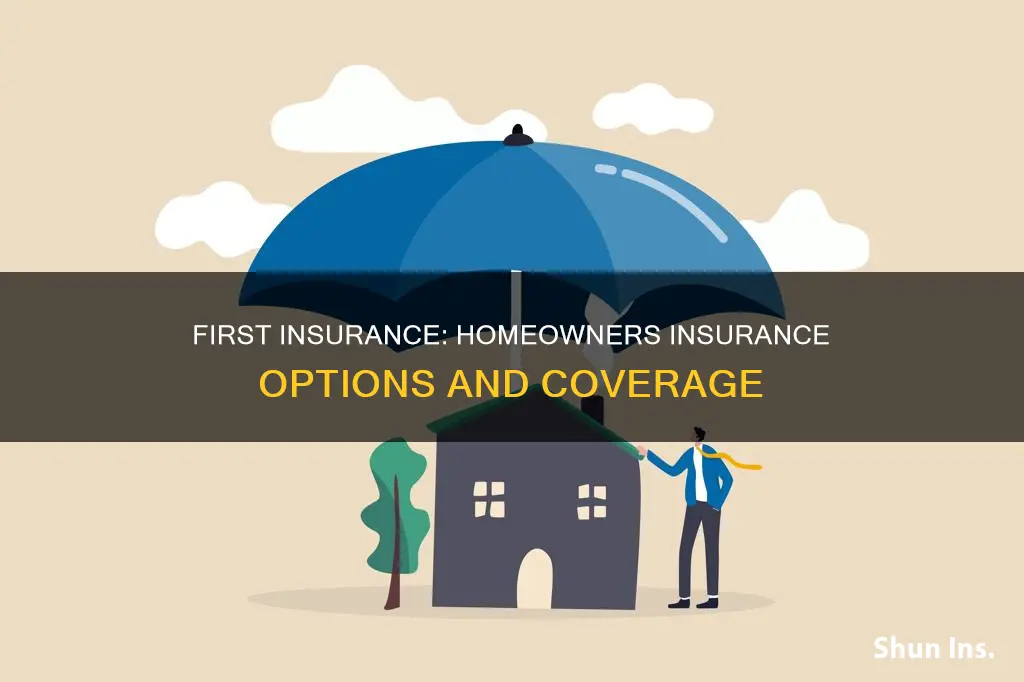 what homeowners insurance does first insurance have