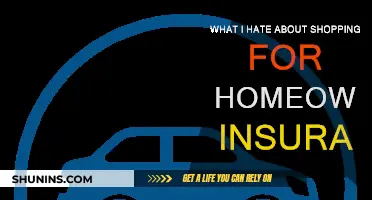 Navigating the Homeowners Insurance Maze: A Frustrating Journey