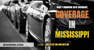 Auto Insurance in Mississippi: Minimum Coverage Requirements Explained