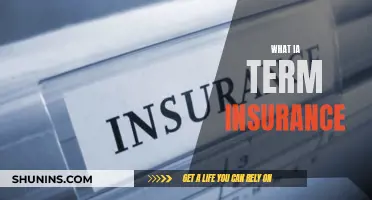 Understanding Term Insurance: A Guide to Unraveling the Basics