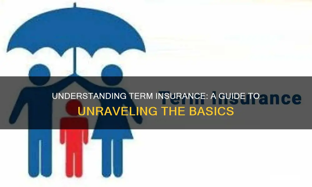 what ia term insurance