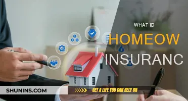 Home Insurance: Protecting Your Home and More