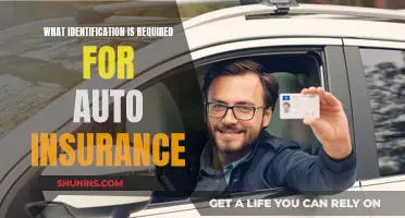 Auto Insurance: What ID Do You Need?