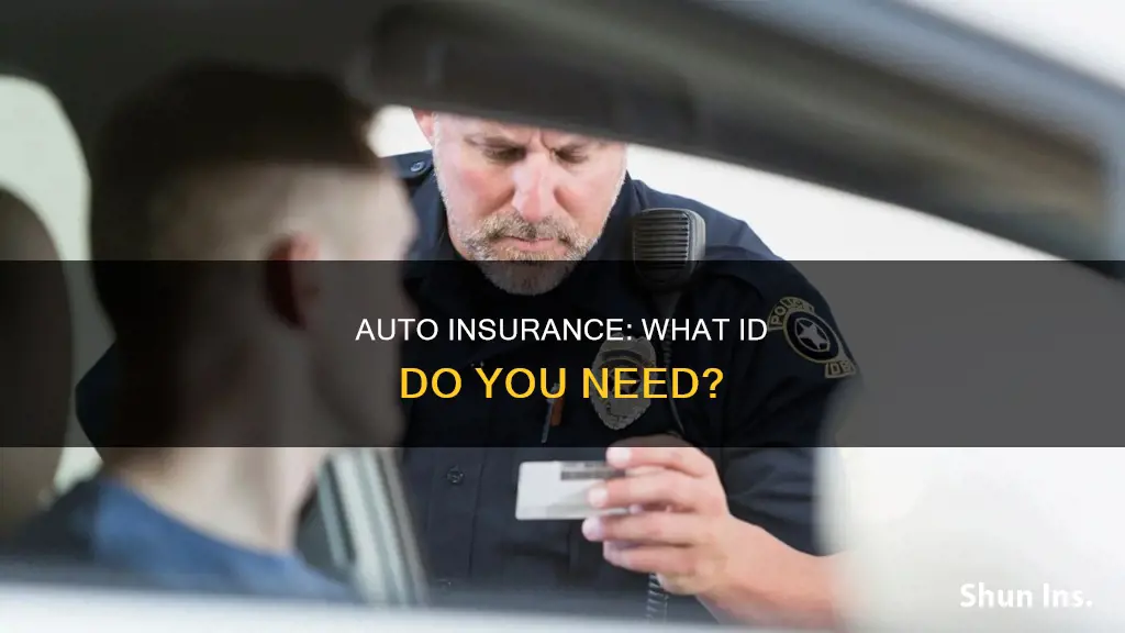 what identification is required for auto insurance