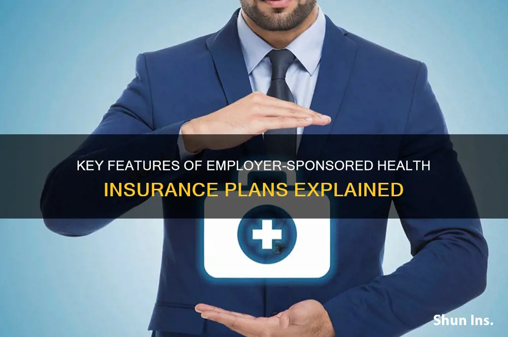 what identifies emploer spmsored health insurance