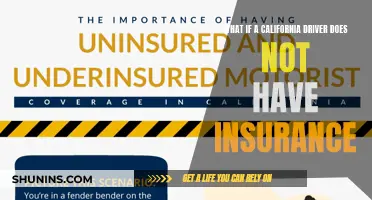 Consequences of Driving Uninsured in California: Legal and Financial Risks