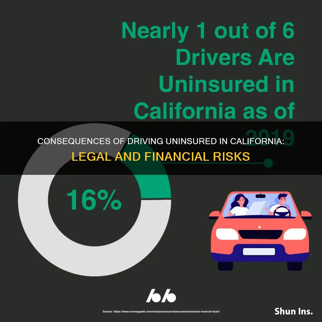 what if a california driver does not have insurance