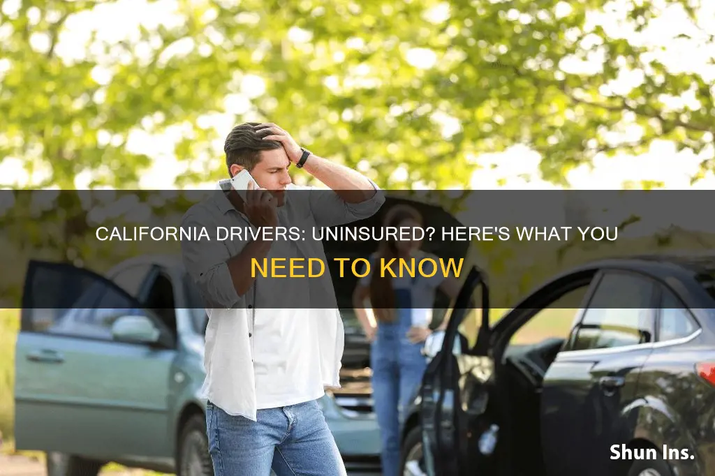 what if a california driver does not have insurance