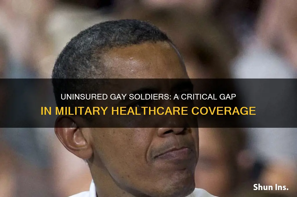 what if a gay soldier has no health insurance