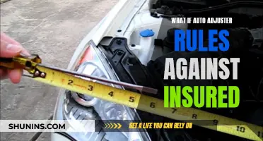 Auto Adjuster Rules Against Insured: What Are Your Options?