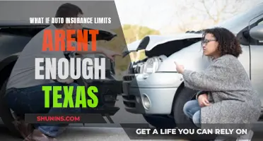 Auto Insurance Limits: Are Texans Covered Enough?