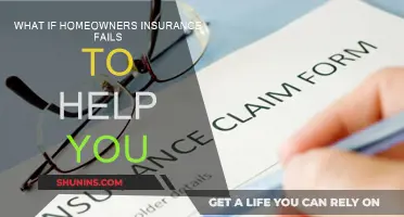 Home Insurance: When Help Fails, What Next?