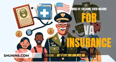 VA Insurance: Strategies for Over-Income Veterans