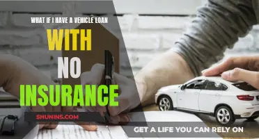 Vehicle Loan and No Insurance: What Now?