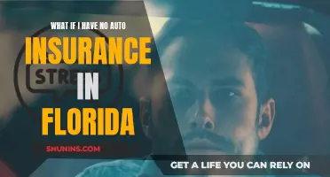 Uninsured in Florida: What Are the Risks and Consequences?