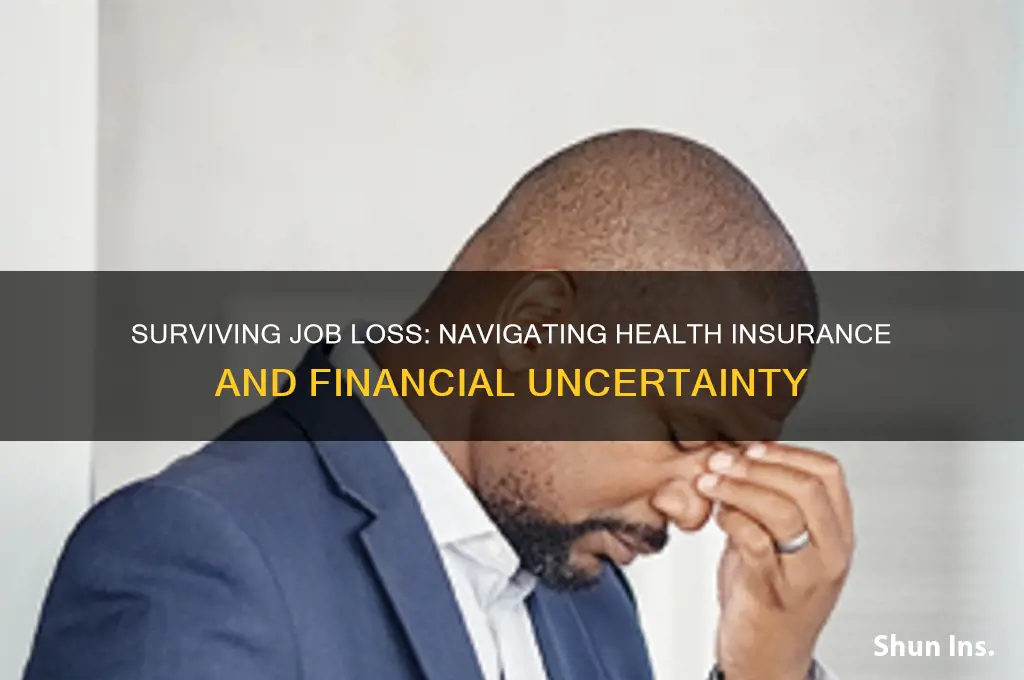 what if i lose my job and health insurance